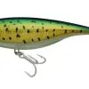 Berkley DEX Stick Shad 18cm -Strategy Winkel Berkley DEX Stick Shad 18cm Mahi Mahi 18cm 1550656