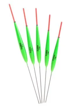 Frenkies Dobber 'Glenn'