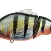 Megabass Vatalion 115 Floating -Strategy Winkel Megabass Vatalion GG Refin Perch 306012