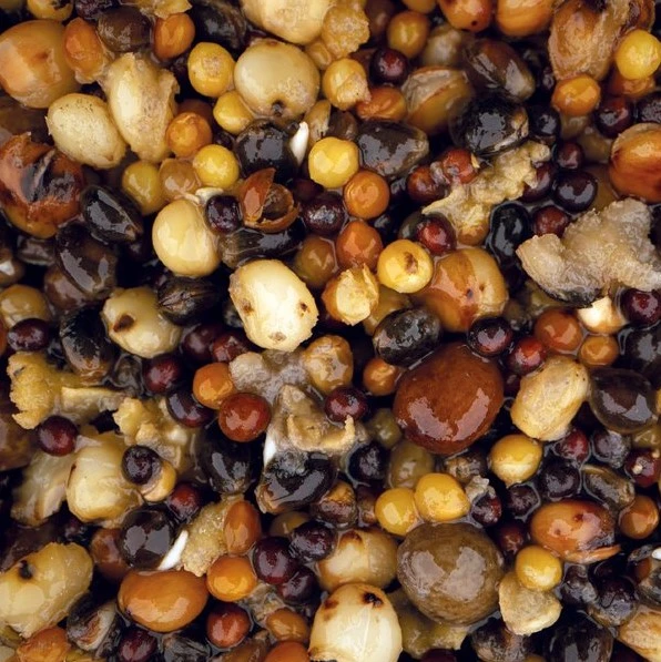 Nash Small Seed Mix 500ml 4 Nash Small Seed Mix 500ml - Afbeelding 2