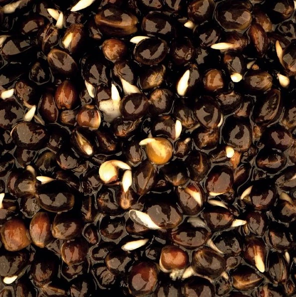 Nashbaits Oily Hemp 2,5ltr 4 Nashbaits Oily Hemp 2,5ltr - Afbeelding 2