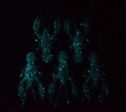 Nikko Craw 3.2 Inch -Strategy Winkel Nikko Craw 3.2 incg 433 C03 Galaxy 3