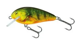 Salmo Butcher 5 Floating -Strategy Winkel Salmo Butcher 5 Floating Supernatural Hot Perch QBU018