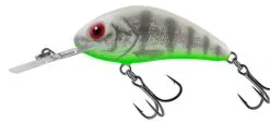 Salmo Rattlin Hornet Floating 6,5cm 20gr -Strategy Winkel Salmo Rattlin Hornet Floating 65cm 20gr Ghost Perch QRH521