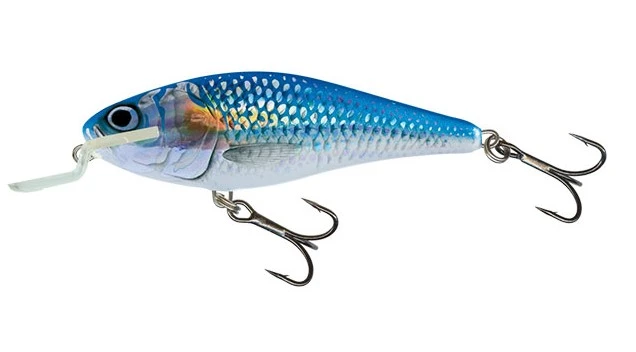 Salmo Freshwater Executor Shallow Runner 12cm 2.5/5m 3 Salmo Freshwater Executor Shallow Runner 12cm 2.5/5m