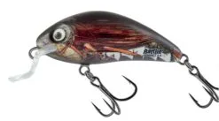 Salmo Rattlin Hornet Floating Shallow 3,5cm 3,0gr -Strategy Winkel Salmo Rattlin Hornet Floating Shallow 3 5cm 3 0gr 4
