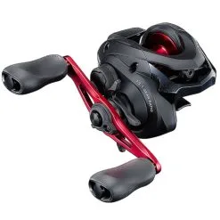 Strategy Winkel 24 Shimano Caius 151 HGB