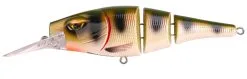 Spro Pikefighter Triple Jointed DD 145 -Floating- 14,5cm/54g -Strategy Winkel Spro Pikefighter Triple Jointed DD 145 Floating 145cm 54g UV Perch 4908 402