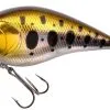 Spro Power Catcher Cranck 60 6cm Floating -Strategy Winkel Spro Power Catcher Cranck 50 5cm Floating Gold Trout 4385 006 1