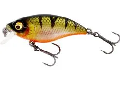 Westin Buzzbite 5cm SR (Shallow Runner)