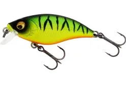 Westin Buzzbite 5cm SR (Shallow Runner) -Strategy Winkel Westin Buzzbite 5cm SR Shallow Runner Firetiger P147 099 001